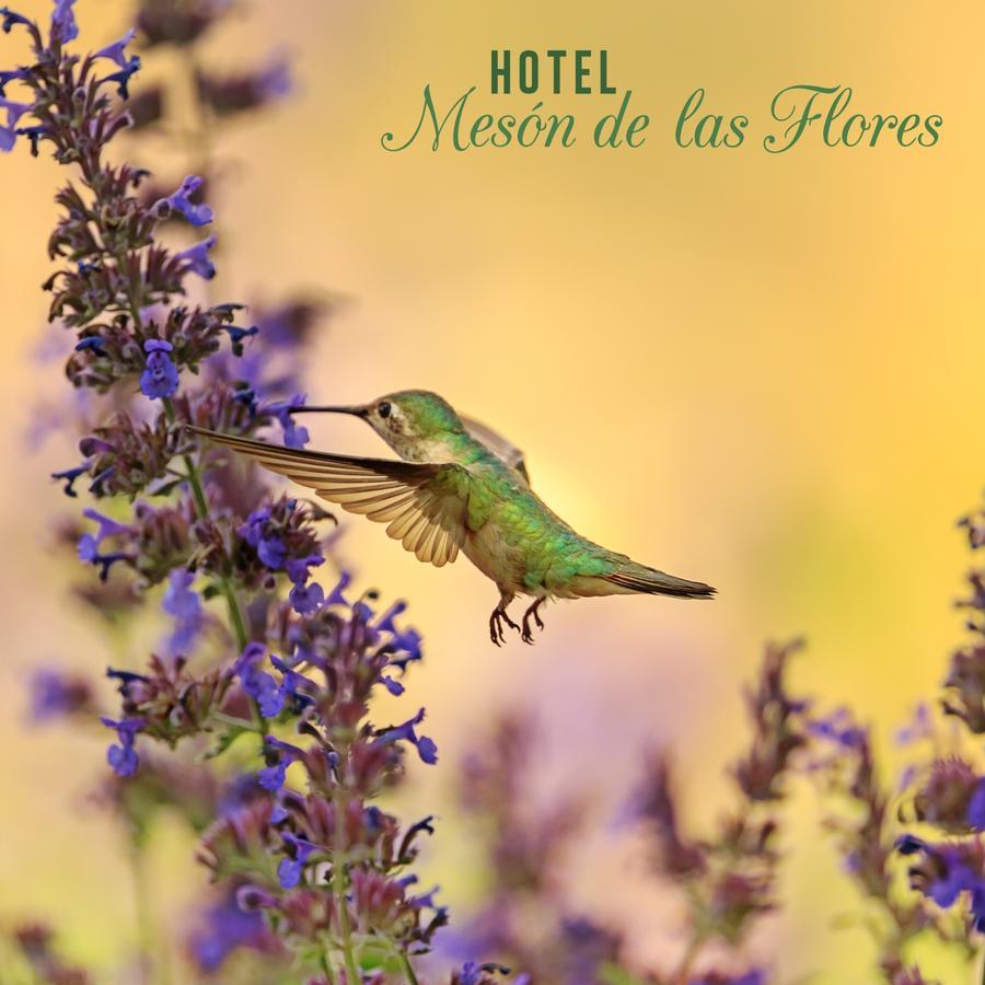 Hotel Meson De Las Flores Armenia Kültér fotó