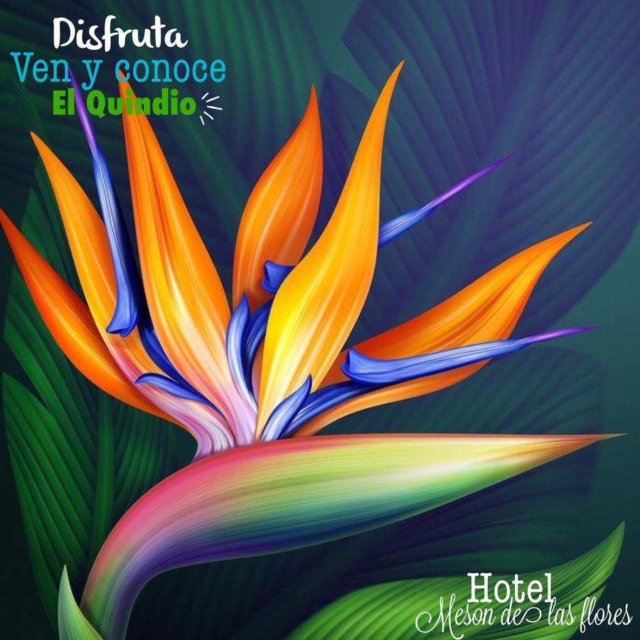 Hotel Meson De Las Flores Armenia Kültér fotó